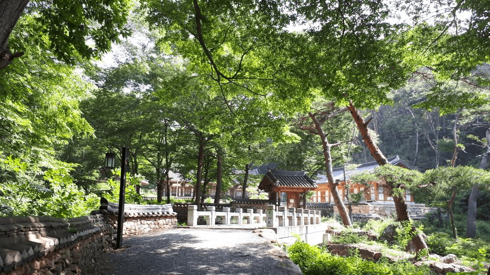 Kuil Cheoneun Sumber Mata Air